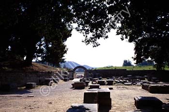 AS0477GR
