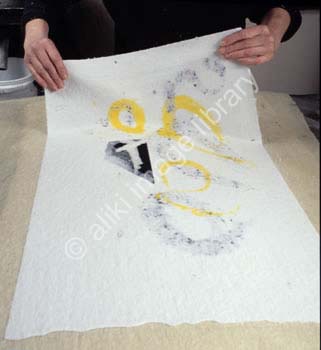 AS060PAP