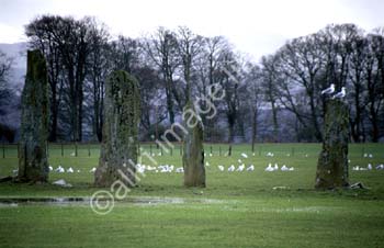 AS0040UK