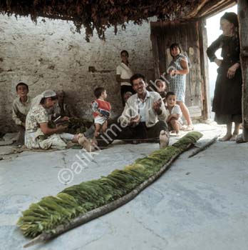 AS0680GR