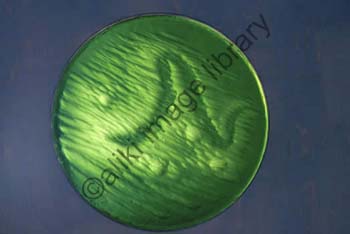 AS0155SW
