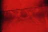 AS0167SW