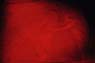 AS0168SW