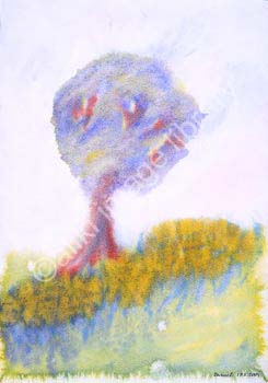 AS0901SW