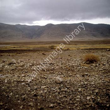 AS0035AFG