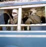 AS0036AFG