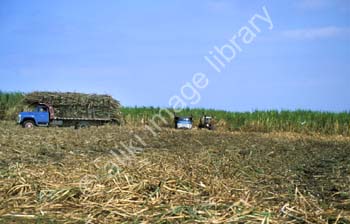 CK0074CU