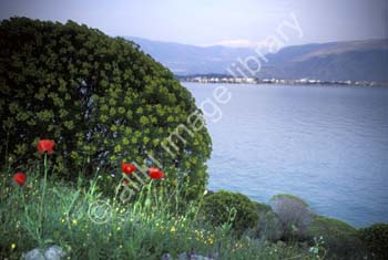 AS0134GR