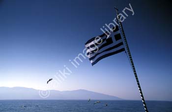 AS0821GR