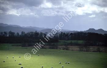 AS0058UK