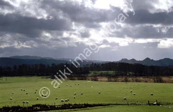 AS0059UK