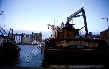 AS0067UK