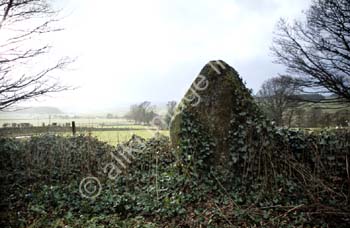 AS0119UK