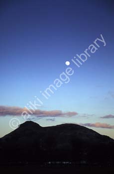 AS0325UK