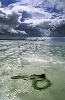 AS0358UK