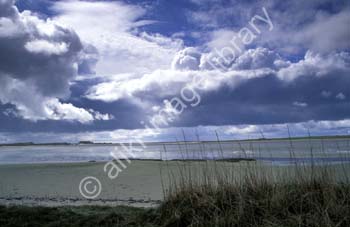 AS0363UK