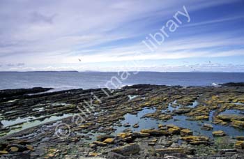 AS0383UK