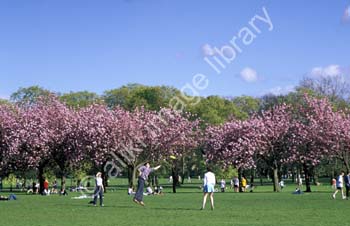 AS0413UK