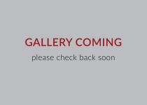 Gallery Coming. Please check back soon.