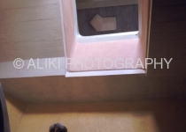 AS0139SW