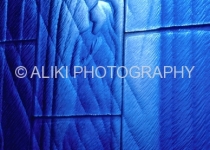 AS0156SW