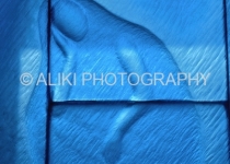 AS0159SW