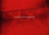 AS0167SW