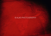 AS0168SW