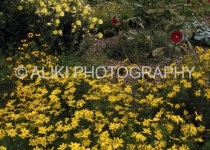 AS0225SW